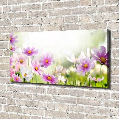 Tableau photo sur toile Fleurs dans un pré