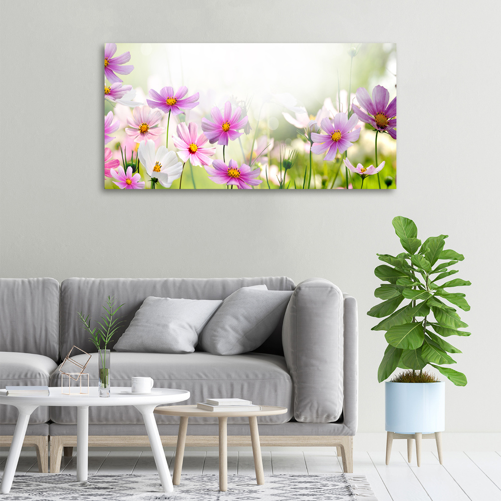 Tableau photo sur toile Fleurs dans un pré