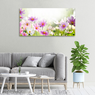 Tableau photo sur toile Fleurs dans un pré