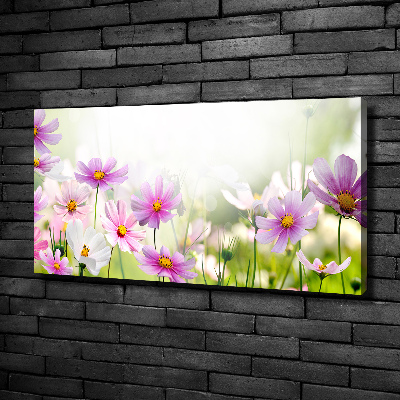 Tableau photo sur toile Fleurs dans un pré