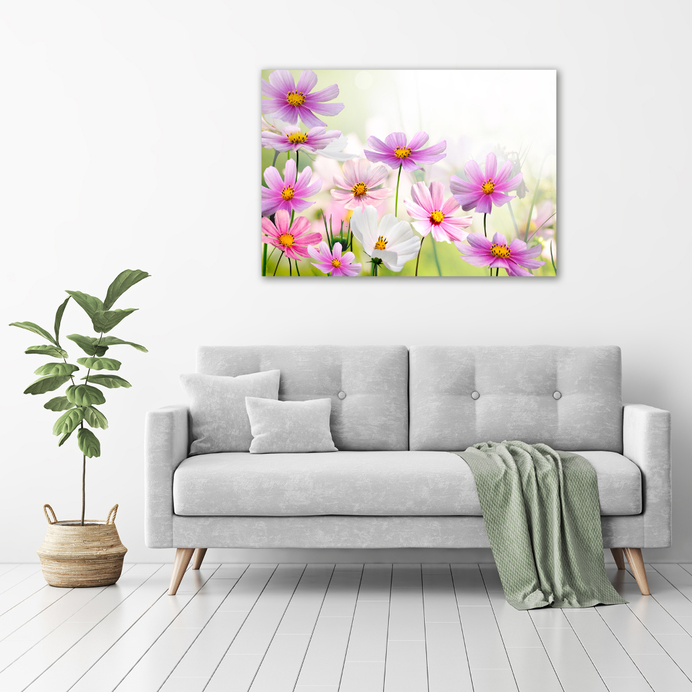 Tableau photo sur toile Fleurs dans un pré