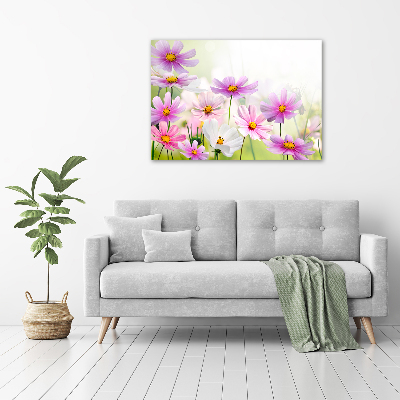 Tableau photo sur toile Fleurs dans un pré