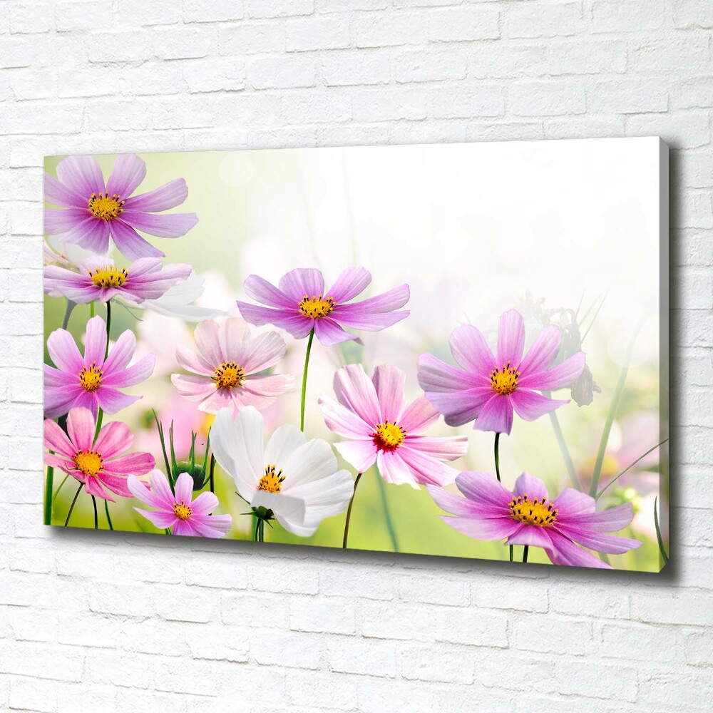 Tableau photo sur toile Fleurs dans un pré