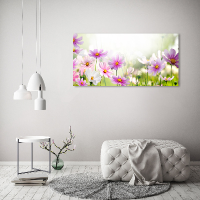 Tableau photo sur toile Fleurs dans un pré