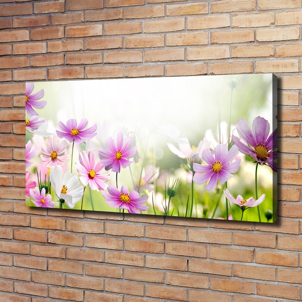 Tableau photo sur toile Fleurs dans un pré