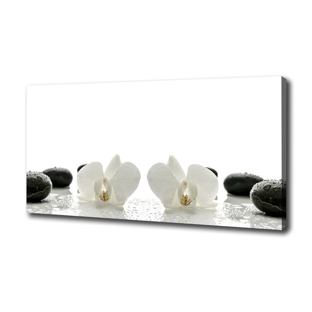 Tableau photo sur toile Orchidées