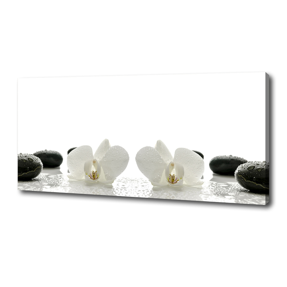 Tableau photo sur toile Orchidées