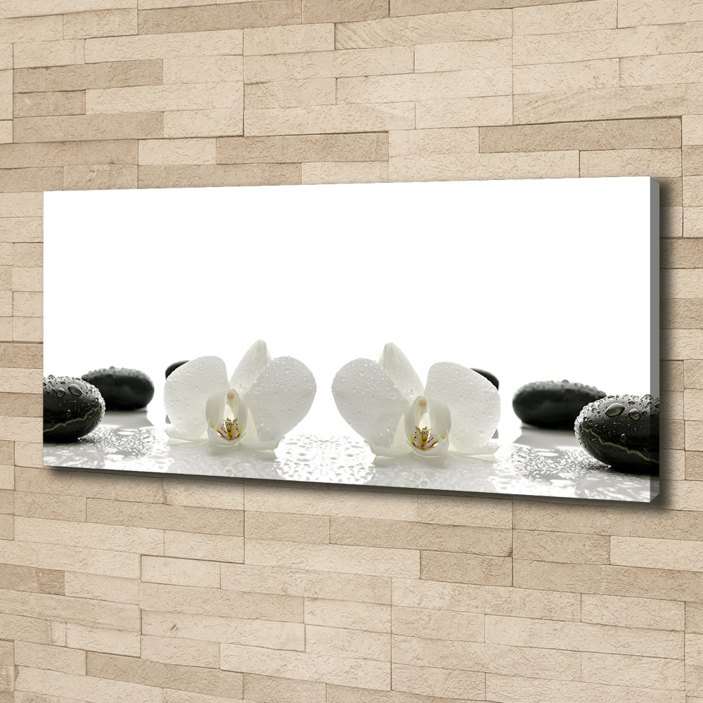 Tableau photo sur toile Orchidées