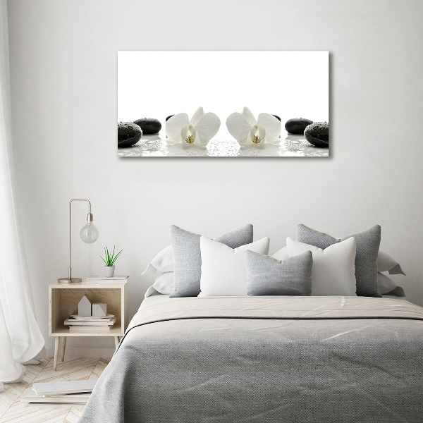 Tableau photo sur toile Orchidées