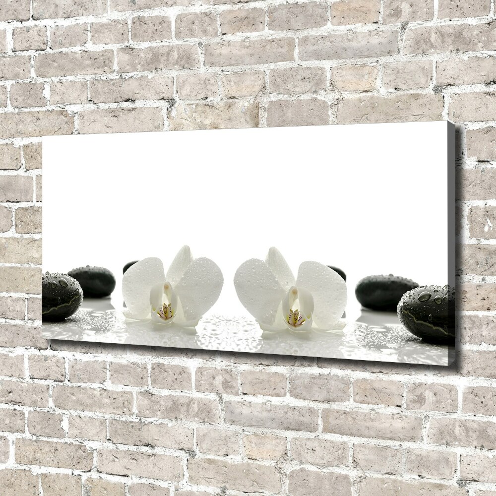 Tableau photo sur toile Orchidées