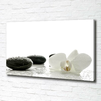 Tableau photo sur toile Orchidées