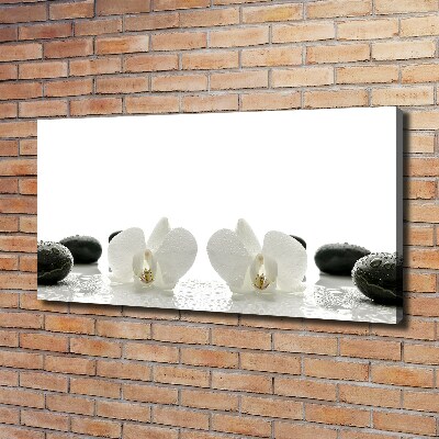 Tableau photo sur toile Orchidées