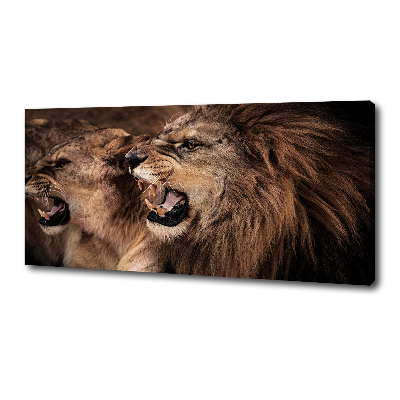 Tableau mural sur toile Lions rugissants