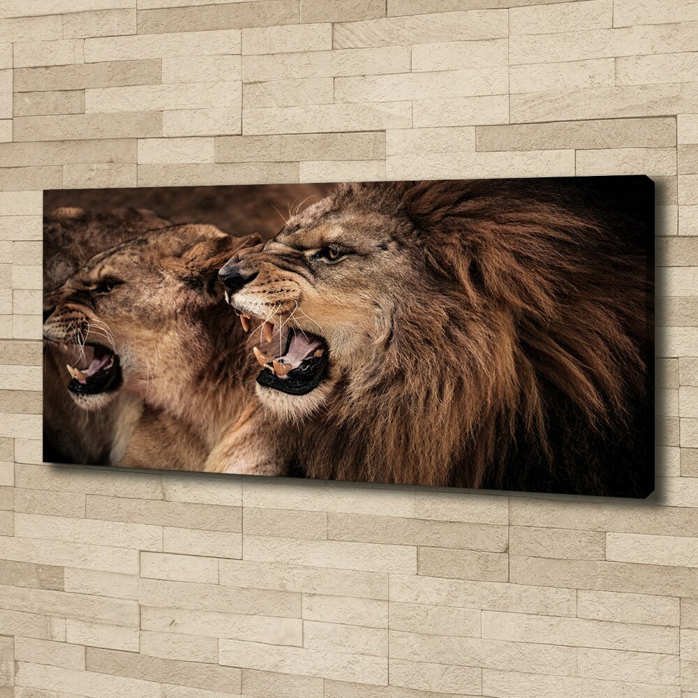 Tableau mural sur toile Lions rugissants