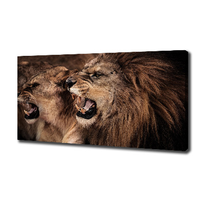 Tableau mural sur toile Lions rugissants