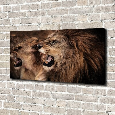 Tableau mural sur toile Lions rugissants