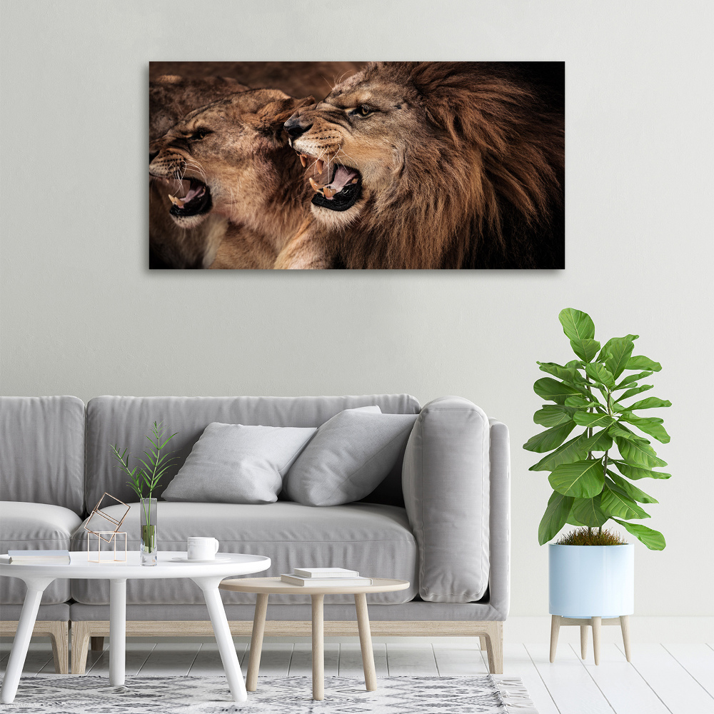 Tableau mural sur toile Lions rugissants