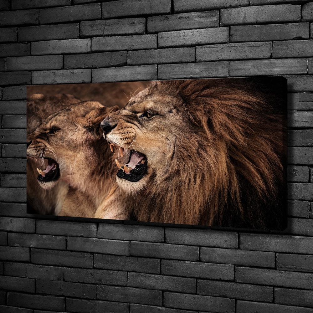 Tableau mural sur toile Lions rugissants