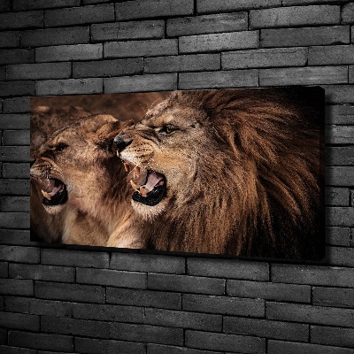 Tableau mural sur toile Lions rugissants