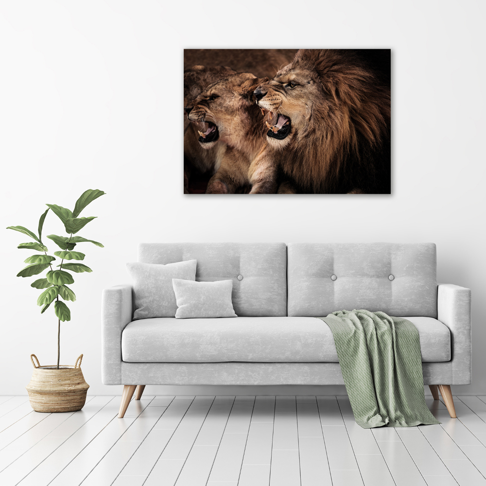 Tableau mural sur toile Lions rugissants