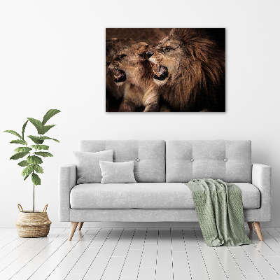 Tableau mural sur toile Lions rugissants