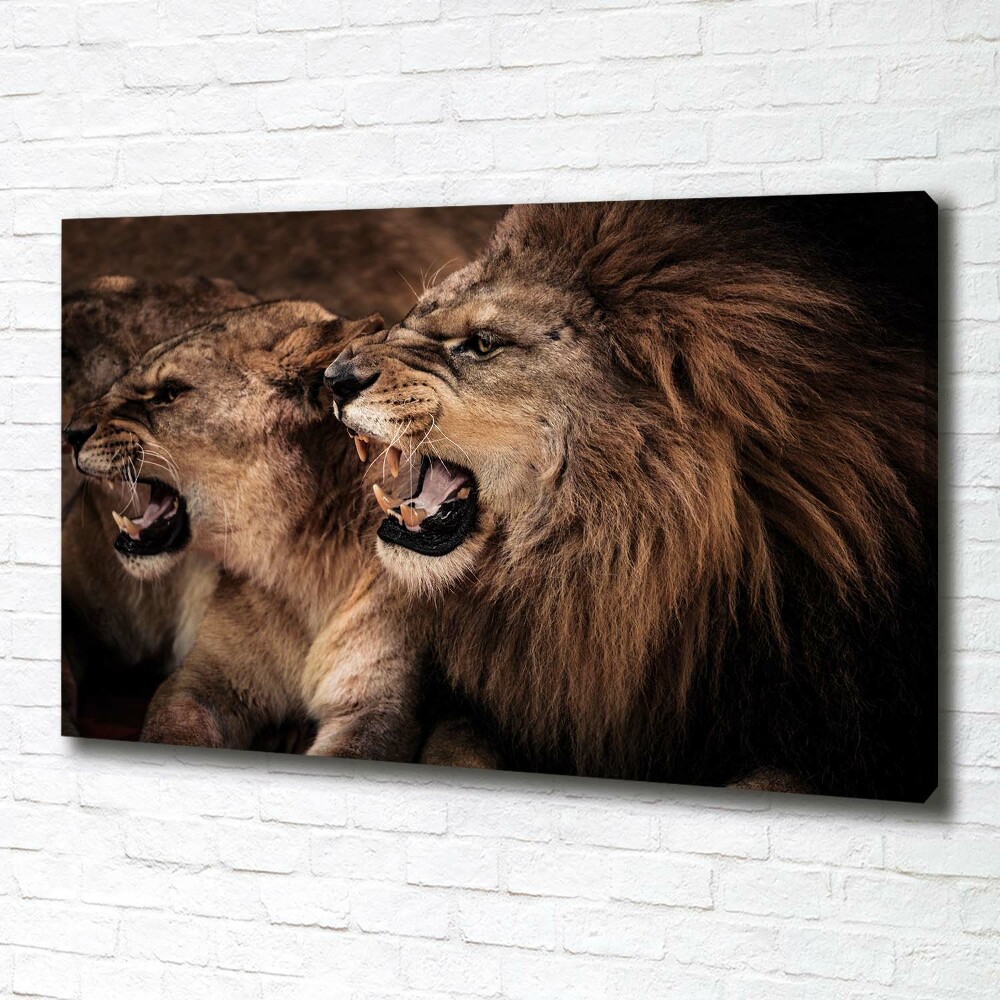 Tableau mural sur toile Lions rugissants