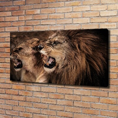 Tableau mural sur toile Lions rugissants