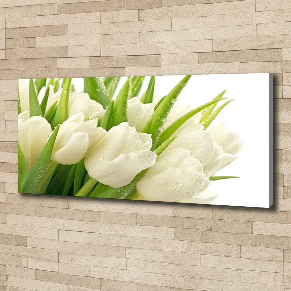 Tableau toile imprimée Tulipes blanches