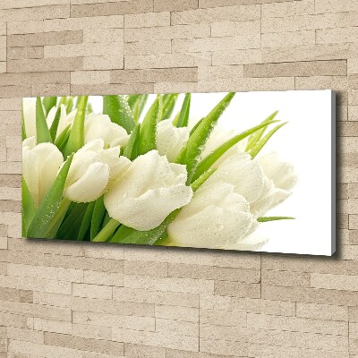 Tableau toile imprimée Tulipes blanches