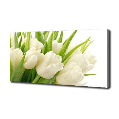 Tableau toile imprimée Tulipes blanches