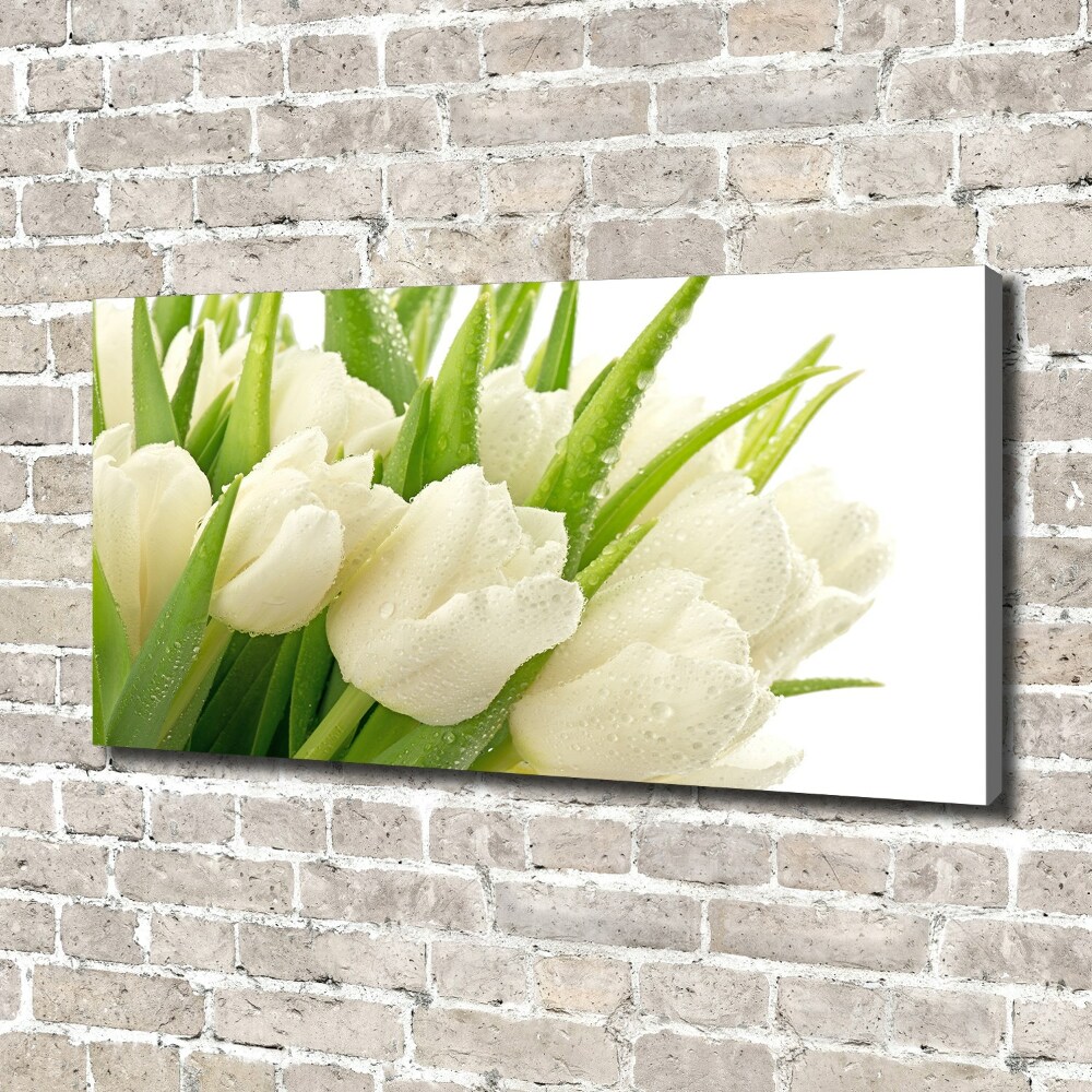 Tableau toile imprimée Tulipes blanches