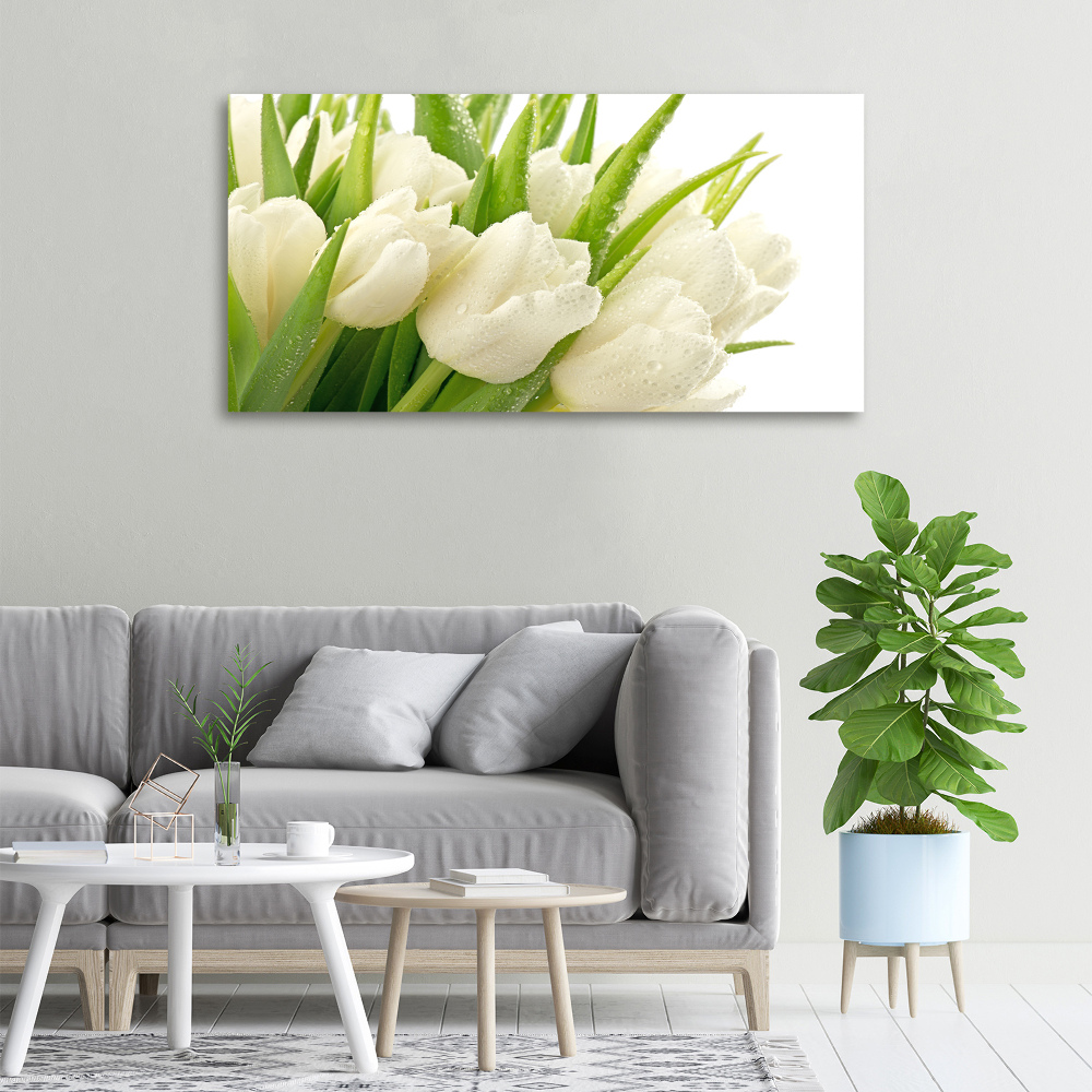 Tableau toile imprimée Tulipes blanches