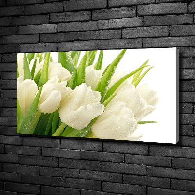 Tableau toile imprimée Tulipes blanches