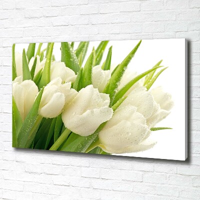 Tableau toile imprimée Tulipes blanches