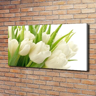 Tableau toile imprimée Tulipes blanches