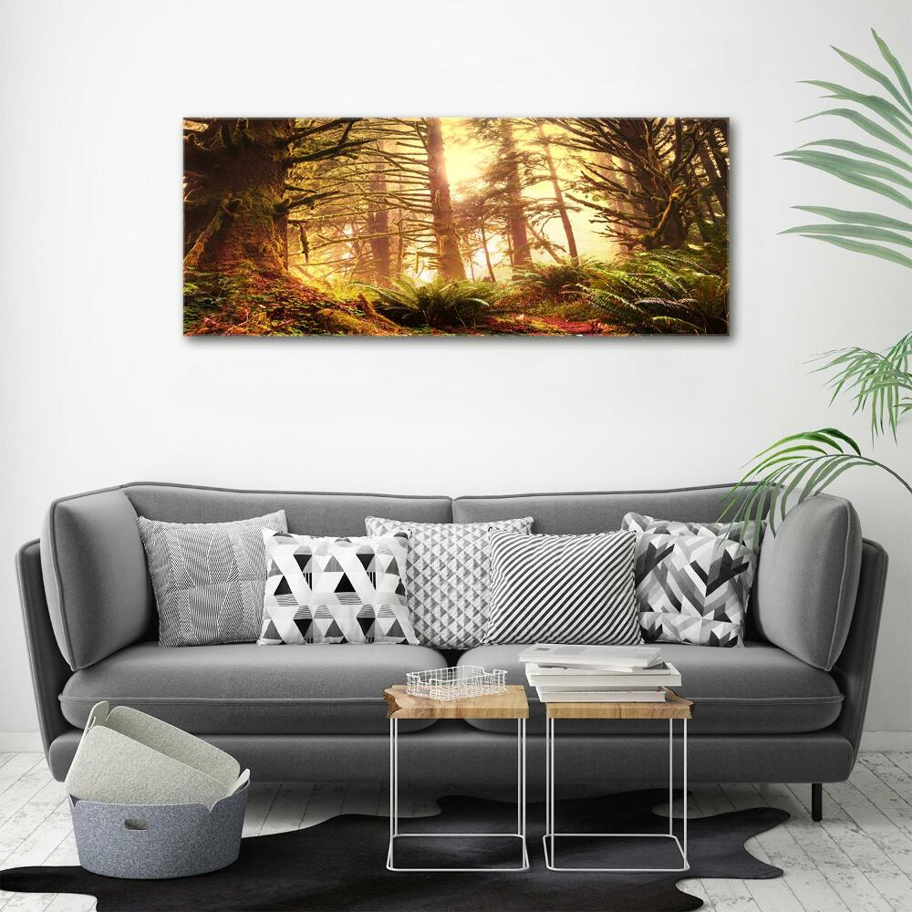 Tableau photo sur toile Forêt pluviale