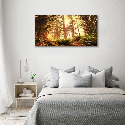 Tableau photo sur toile Forêt pluviale