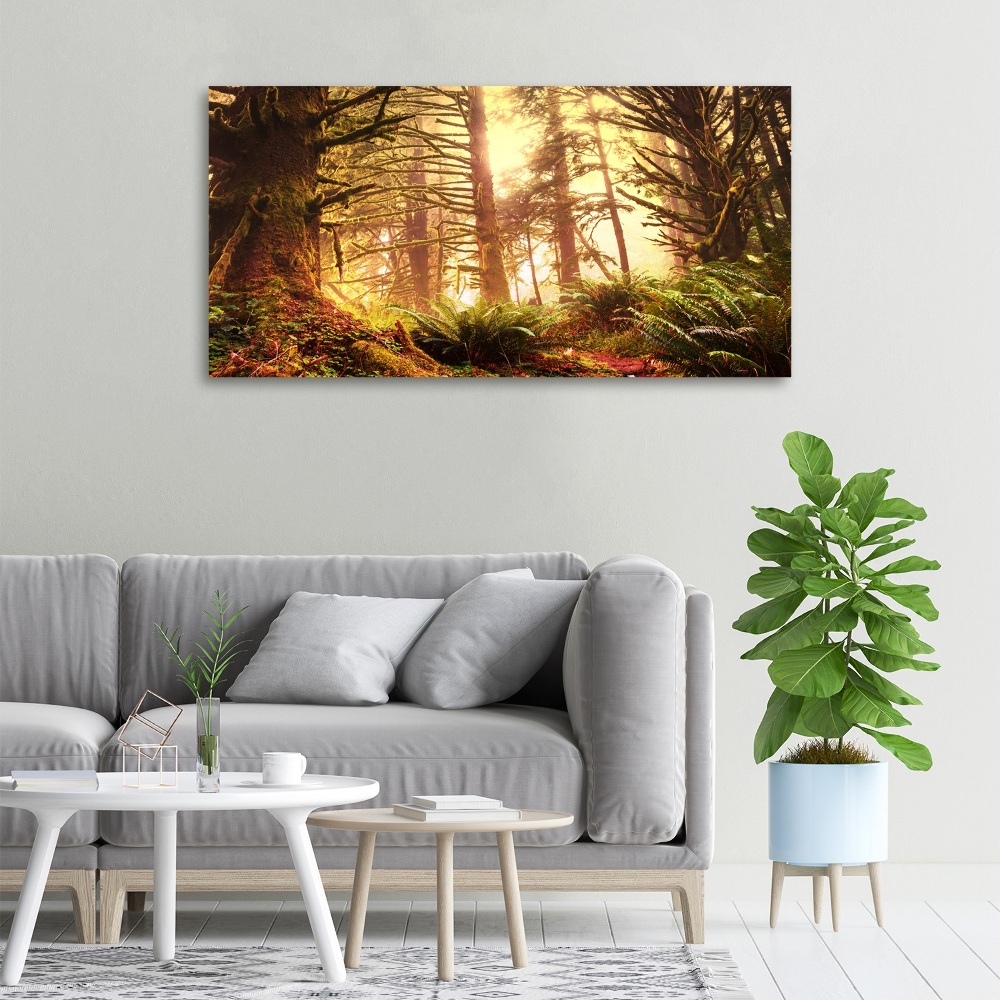 Tableau photo sur toile Forêt pluviale