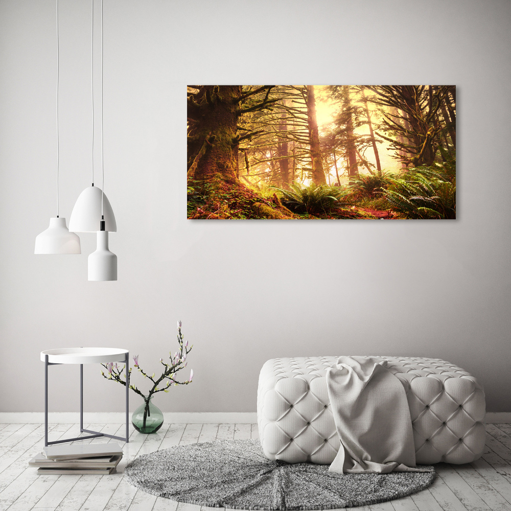 Tableau photo sur toile Forêt pluviale