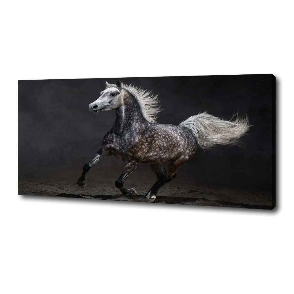 Tableau toile imprimée Cheval arabe gris