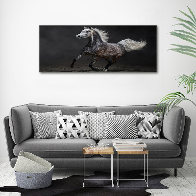 Tableau toile imprimée Cheval arabe gris