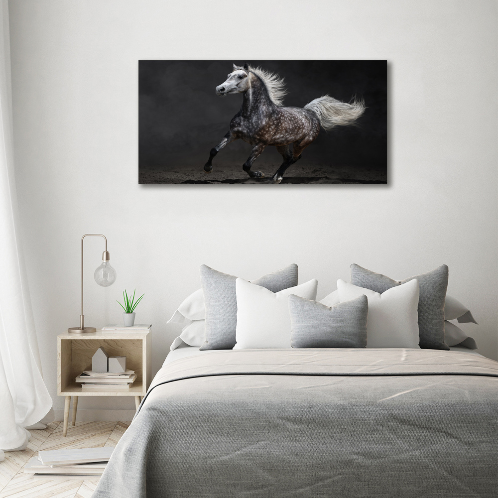 Tableau toile imprimée Cheval arabe gris