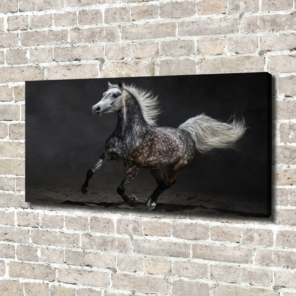 Tableau toile imprimée Cheval arabe gris