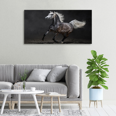 Tableau toile imprimée Cheval arabe gris