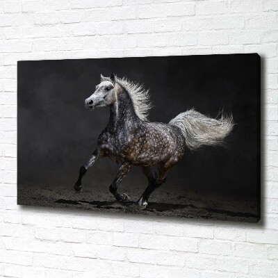 Tableau toile imprimée Cheval arabe gris