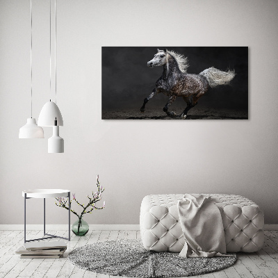 Tableau toile imprimée Cheval arabe gris