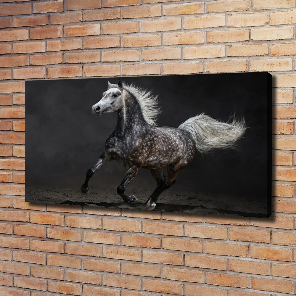 Tableau toile imprimée Cheval arabe gris