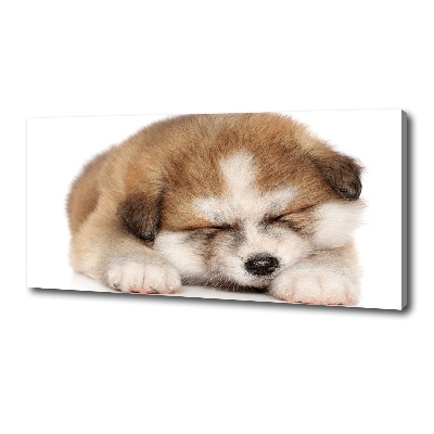 Tableau sur toile Chiot Akita