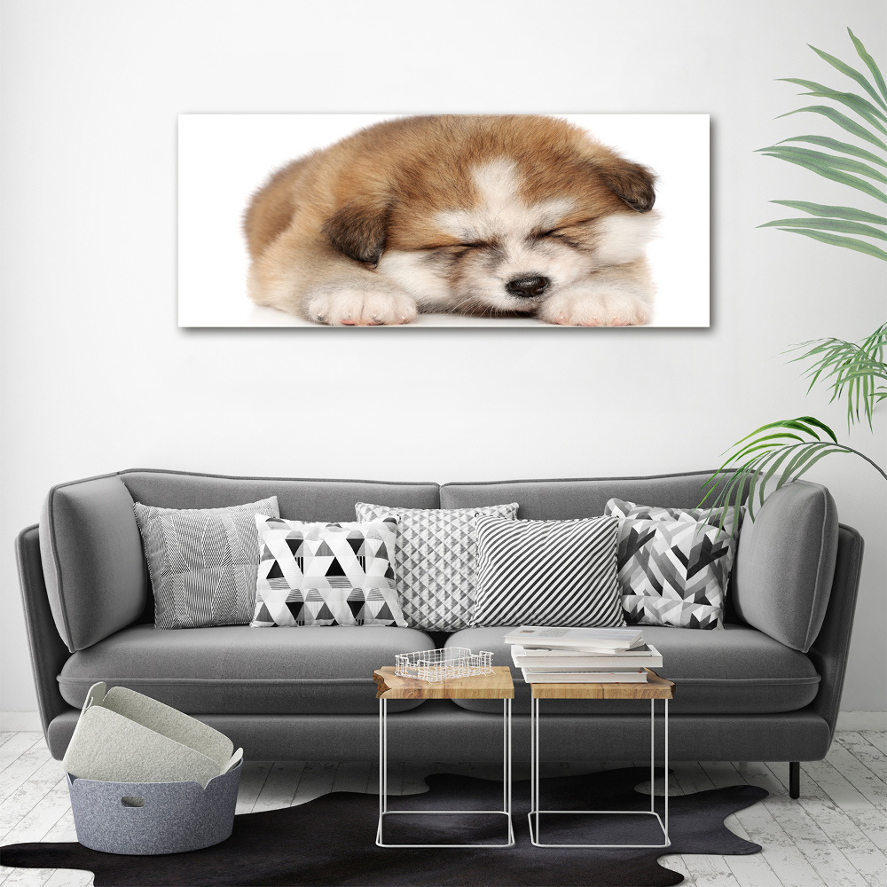 Tableau sur toile Chiot Akita