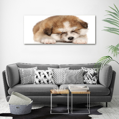 Tableau sur toile Chiot Akita